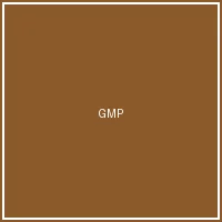 GMP Certified facility for Memory Honey